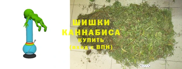 твердый Арсеньев