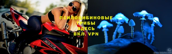 ALPHA PVP Аркадак