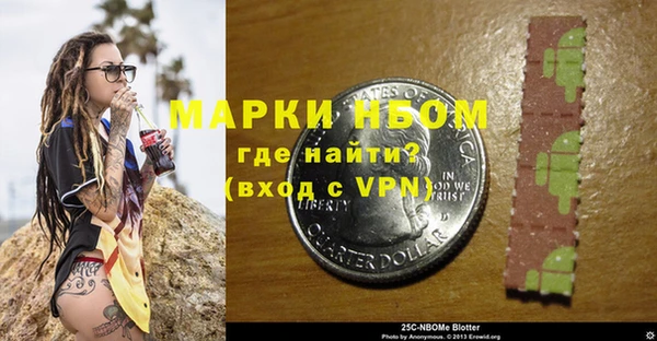 твердый Арсеньев