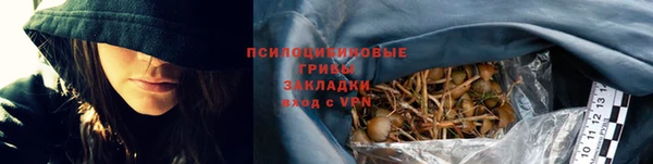 твердый Арсеньев