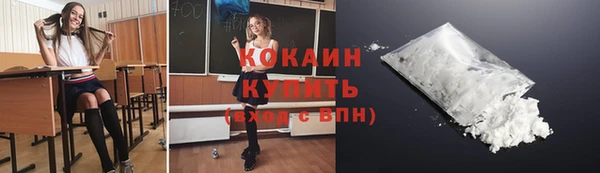твердый Арсеньев