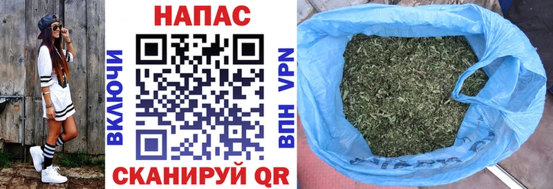 купить наркотик  Северодвинск  нарко площадка формула  Канабис SATIVA & INDICA 
